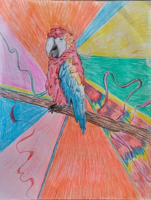 What Kind of Name is Polly, Anyway?