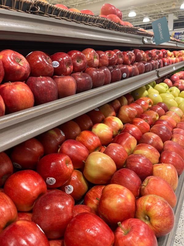 The Importance of Good Nutrition