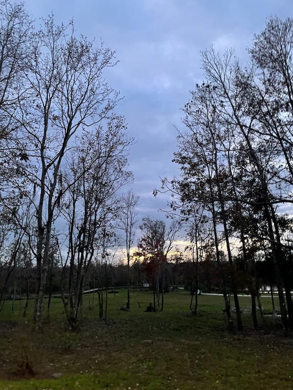 Snow in the Sunshine State