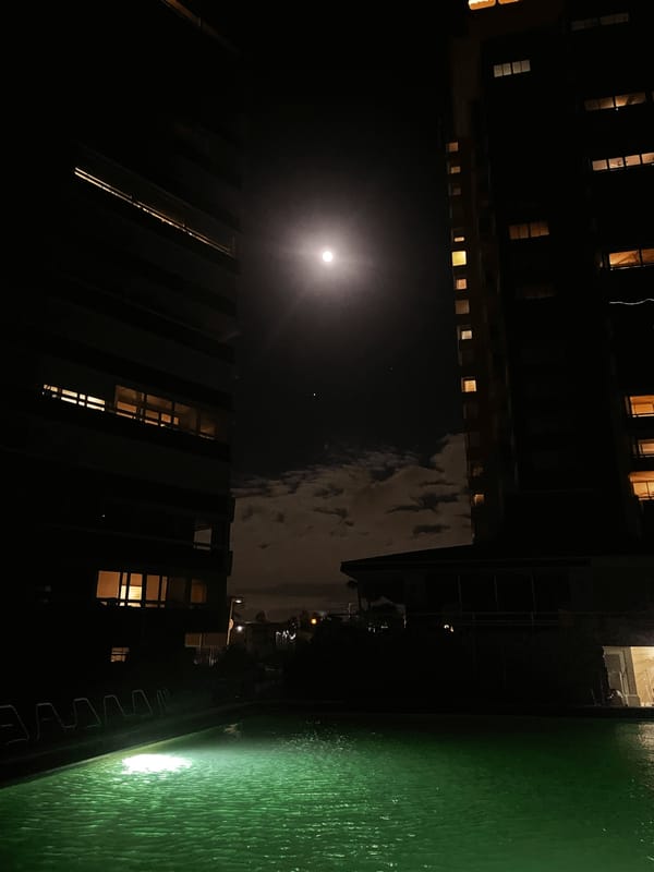 Strangers in the Night